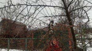 Домашний майонез Горчичный , напиток из шиповника, калина как лекарство 27.01 20025г