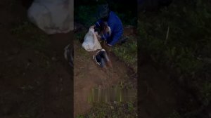 В Ленобласти полиция сорвала платный обряд «погребения заживо» от местного шамана.