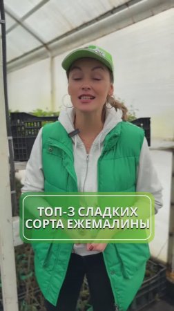 ТОП-3 сладких сорта ежемалины 🍇