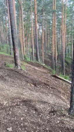 родьем часть 2 26.05