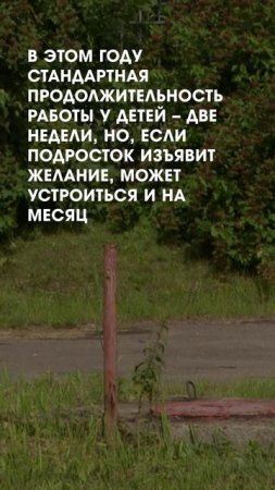Работа для подростков