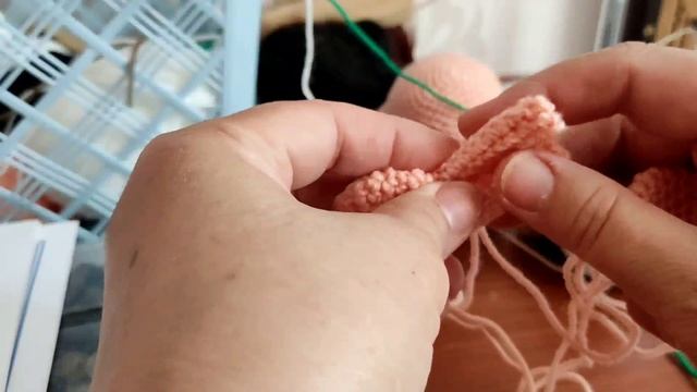 Джек рассел, Ежефима, процесс, что связала, радуга и другое 🤗🤗🤗