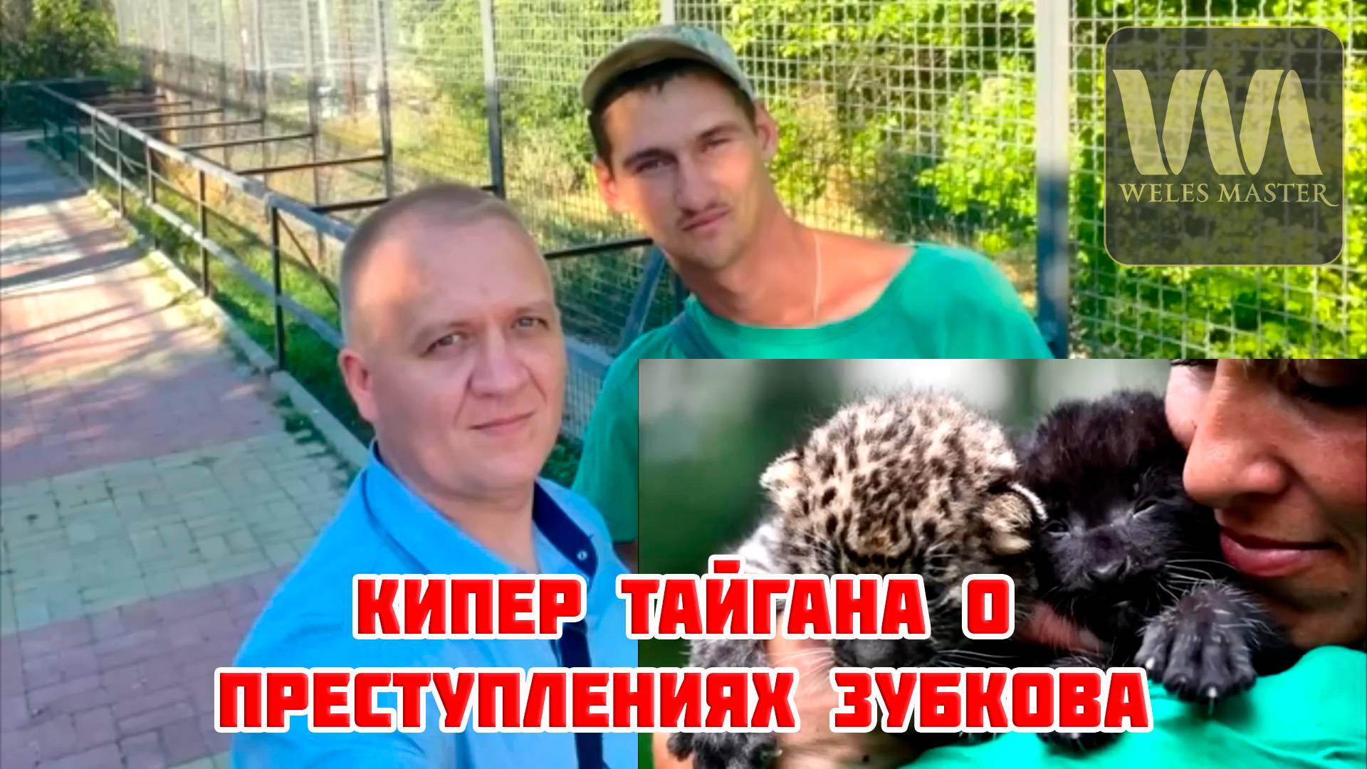 Кипер парка львов Тайган с 10-летним стажем о преступлениях Зубкова