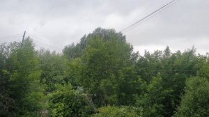 Сладка ягода