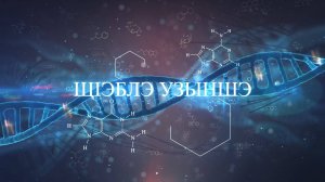 «Щ1эблэ узыншэ»