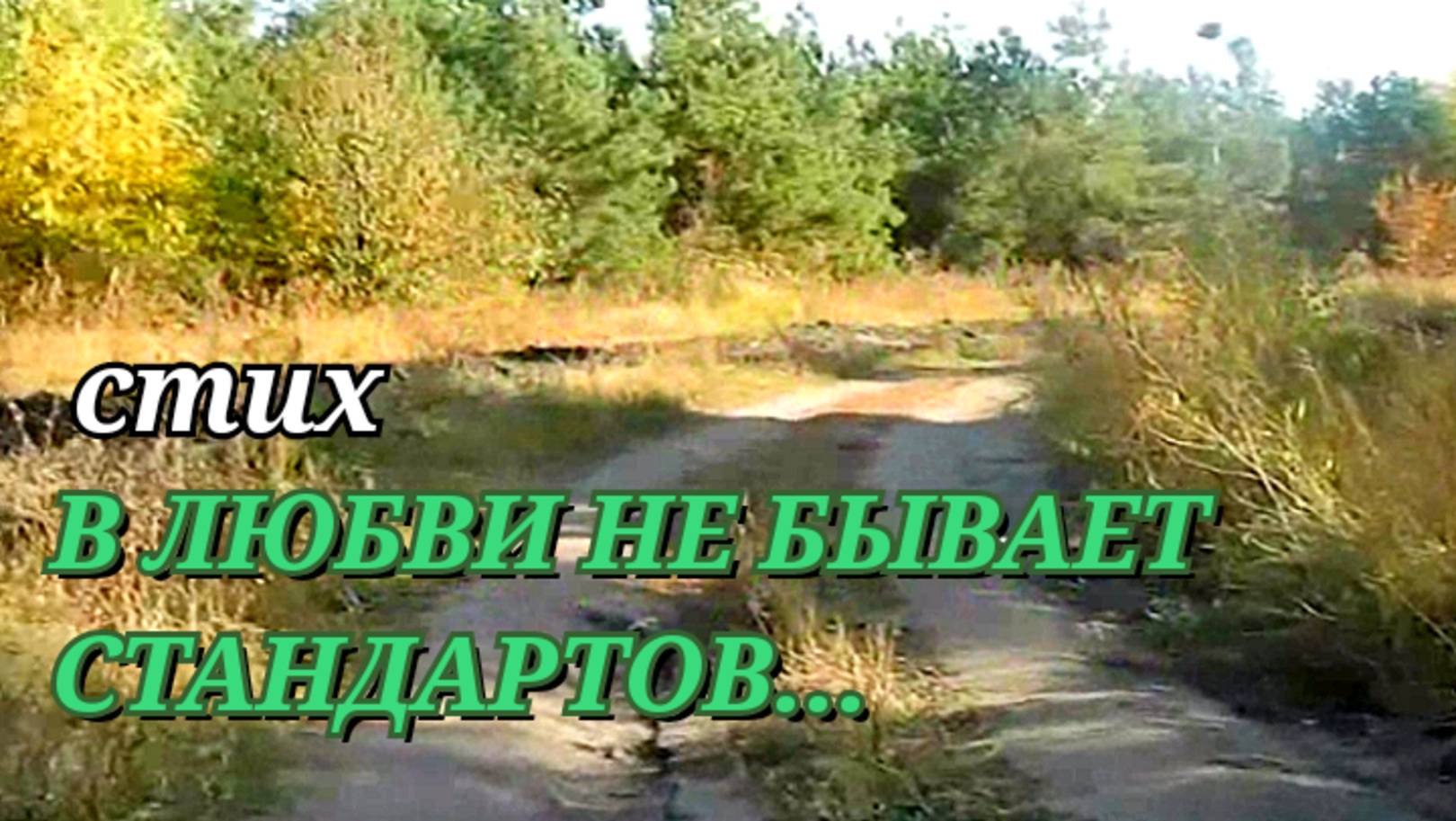 СТИХИ О ЛЮБВИ/В ЛЮБВИ НЕ БЫВАЕТ СТАНДАРТОВ... стих о любви