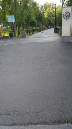 Хорошо, когда в городе есть места, где можно погулять с собачкой