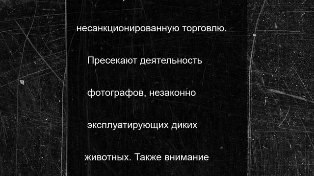 В Сочи уделяют внимание безопасному отдыху туристов