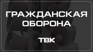 Пожар из-за тополиного пуха  / «Гражданская оборона»