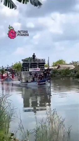 Thai raver red necks