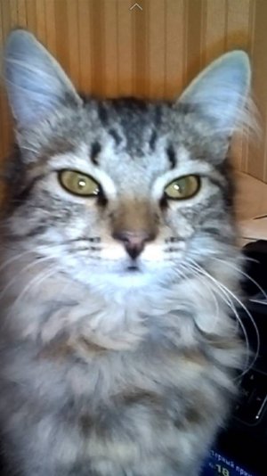 Где летом прохладно