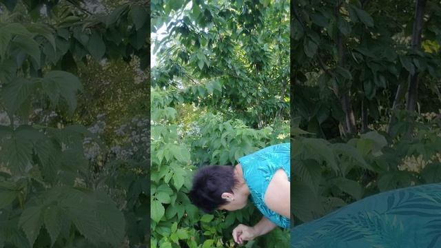 1000477830.mp4
