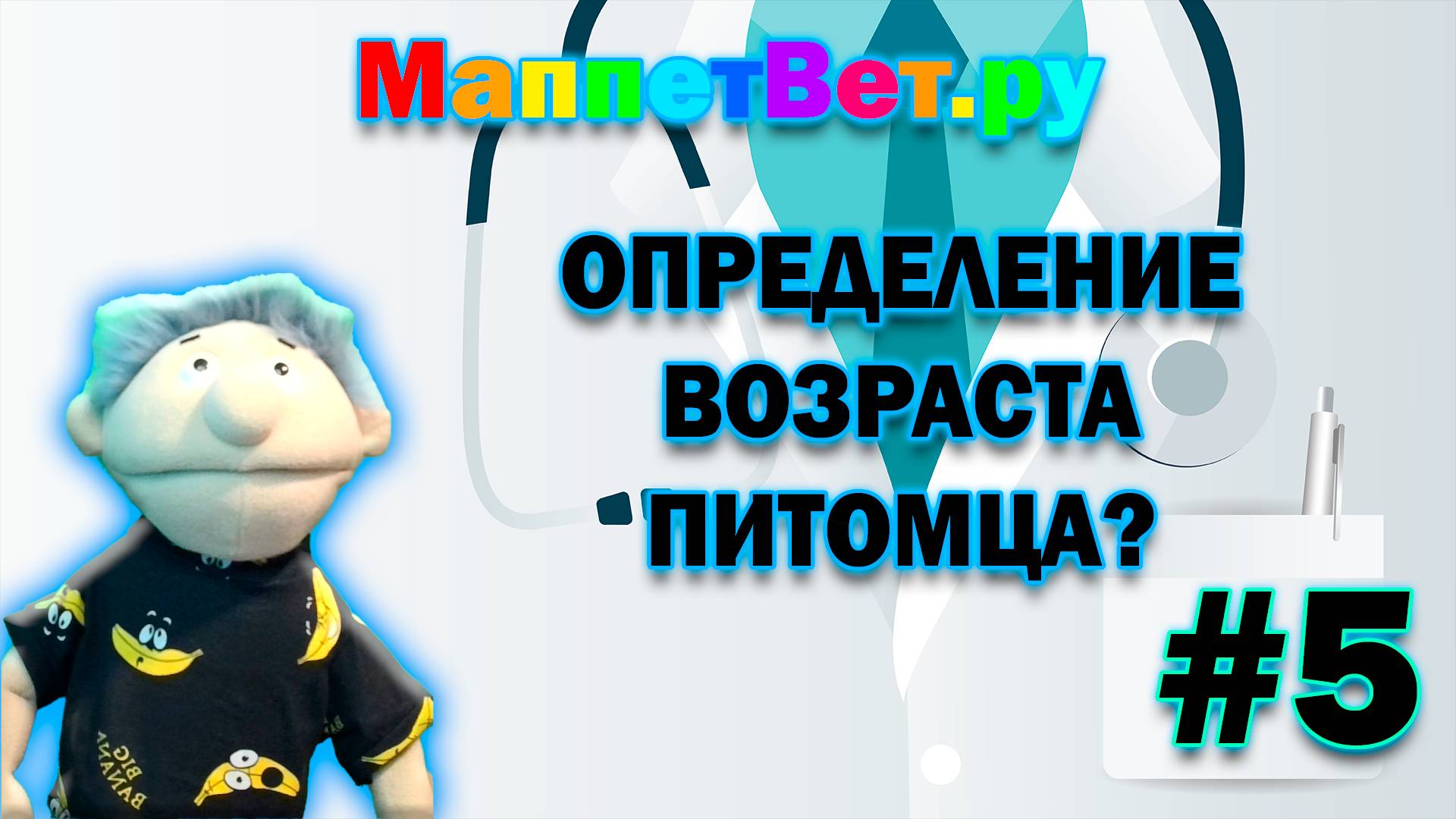МаппетВет.ру|Определение возраста питомца?|#5