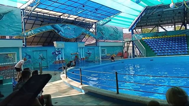 Отдыхаю на море, дельфинарий в Небуге 26-06-2025