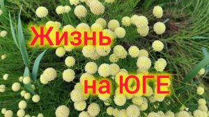 Жизнь после переезда на ЮГ/Надо бы еще НАВОЗА/Пожелала хейтерам смерти 😱/Почему не говорю про сына❤