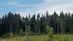 Дорога за городом