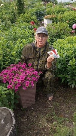 У петунии будет пышное и яркое цветение