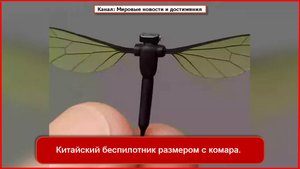 Дрон размером с комара предназначен для китайских шпионских миссий.