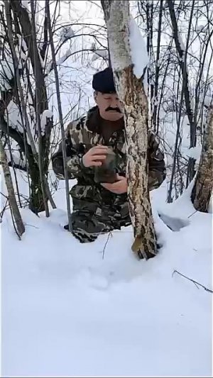 Сбор березового сока