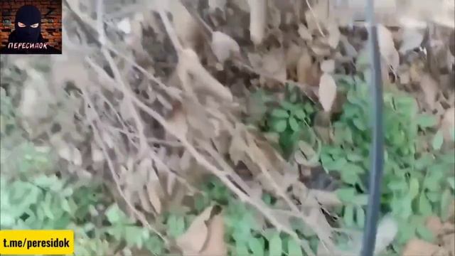 🇷🇺 Наши бойцы попадают под обстрел танка !!! Вид от первого лица !!!