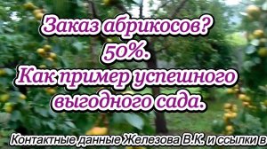 Заказ абрикосов? 50%. Как пример успешного выгодного сада.