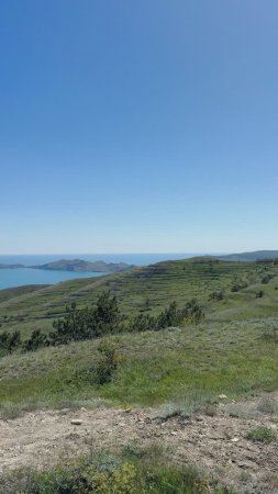 Большая Феодосии, предгорье.