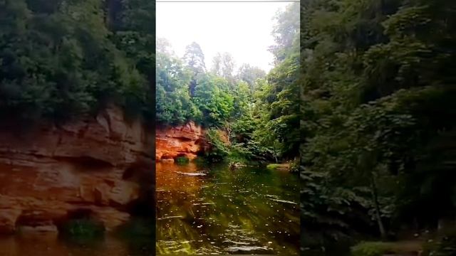 В Сиверской опять дожди, песня на стихи Александра Пашкова - Антропова