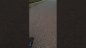 влог на велосипеде