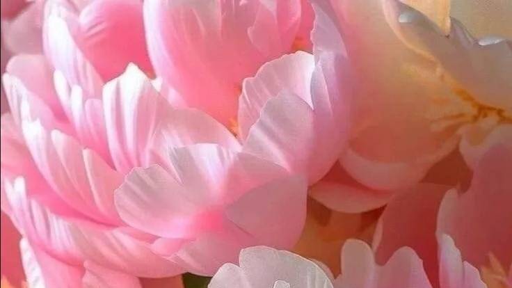 ИЮЛЬ--РАК(таро)