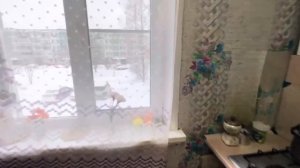 Высоковск Текстильная 10