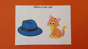 Prepositions of place. Question Where is/are