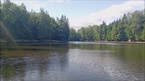 Утренний обзор с Нижнего пруда. Клёвое место Лосиный остров.