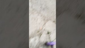 Я и чисто другом: