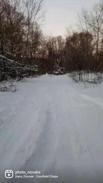 Дорога домой