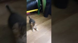 1000025425.mp4