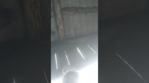 ловим хитрожопых котов🐈🐈🐈