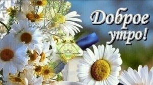 С добрым,летним,ромашковым утром!