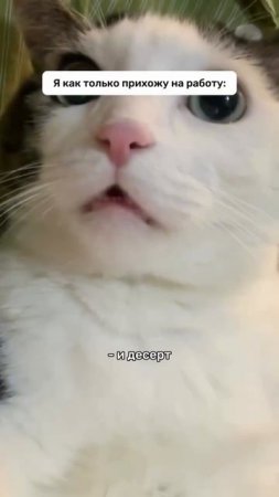 Ставь ❤️ если узнала себя