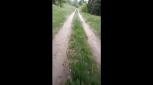 Спуск на велосипеде. Bike green
