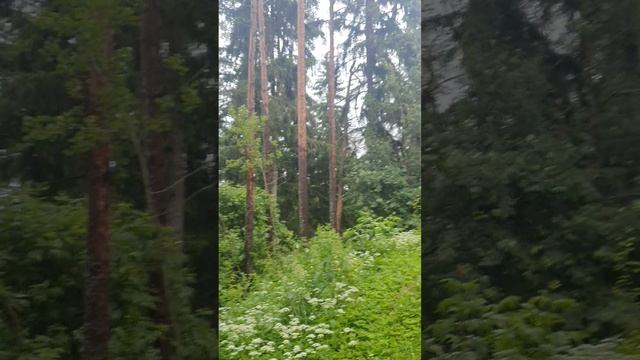 Как правильно попросить у Бога здоровье?