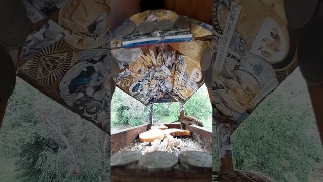 1000045441.mp4Кормушка.27.06.2025г.