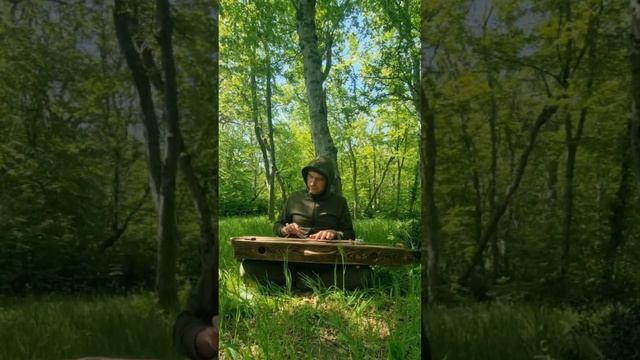 Монохорд в лесу  Утриш
