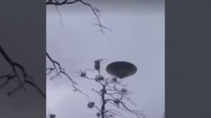Летающую тарелку засняли в неплохом качестве.