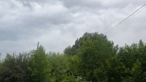 Чернотище