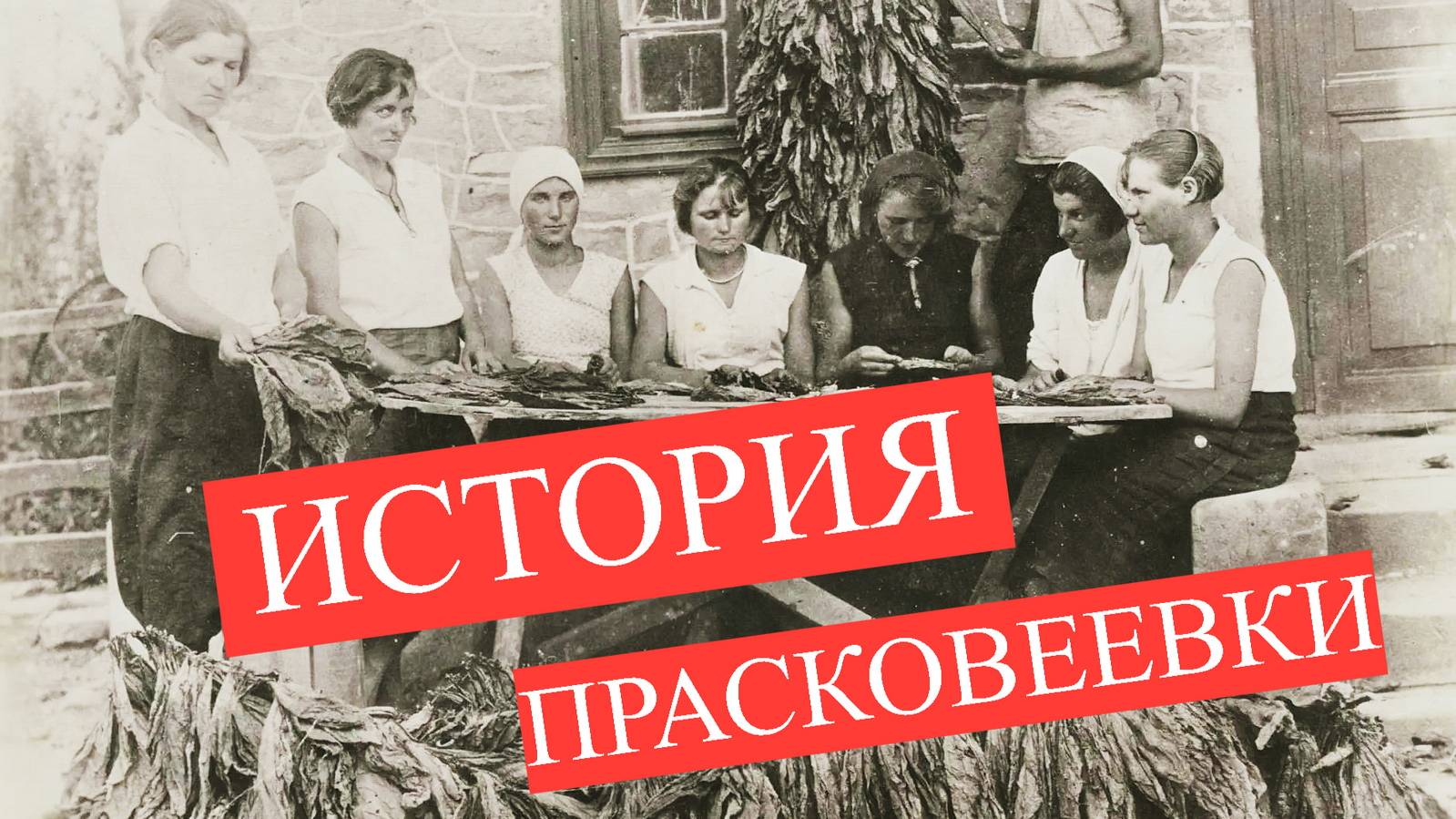 Интервью: История Прасковеевки, о виноделии, жителях, хуторах