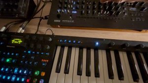 Korg monologue meets Digitone keys