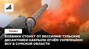 Боевики стонут от бессилия! Тульские десантники накрыли огнём укрепрайон ВСУ в Сумской области