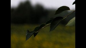 Фото обзор с велопоездки в пос. Мировой Октябрь