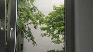 Время побед: Управление временем и тайм-менеджмент на ноутбуке с DesktopForLife