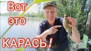 Моя лучшая рыбалка на карася